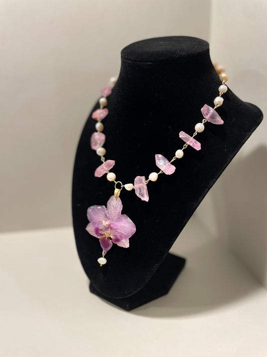 Orquídea Eterna